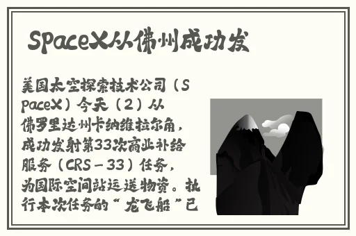 桃子视频在线官网观看